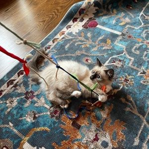 Handmade Sustainable Cat Toy